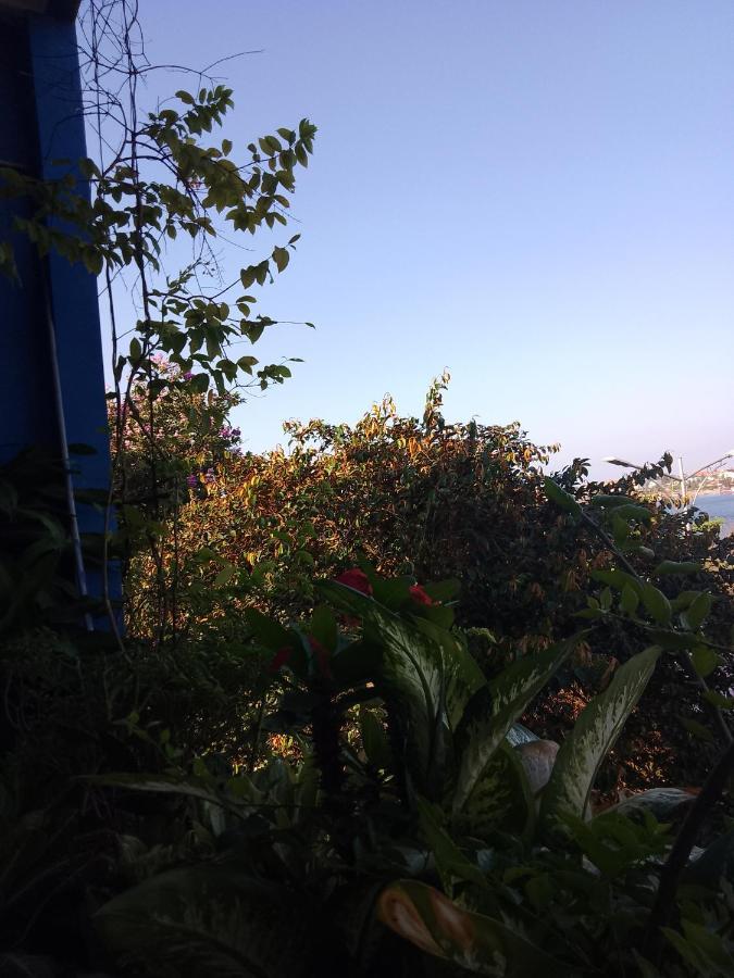 Nha Nghi Hang Nga 洞海 外观 照片