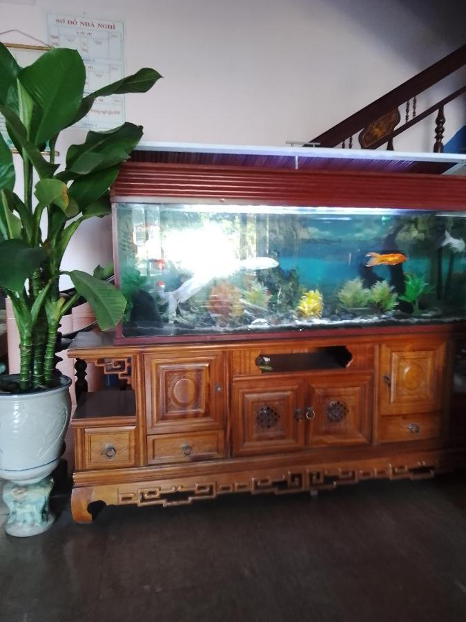 Nha Nghi Hang Nga 洞海 外观 照片