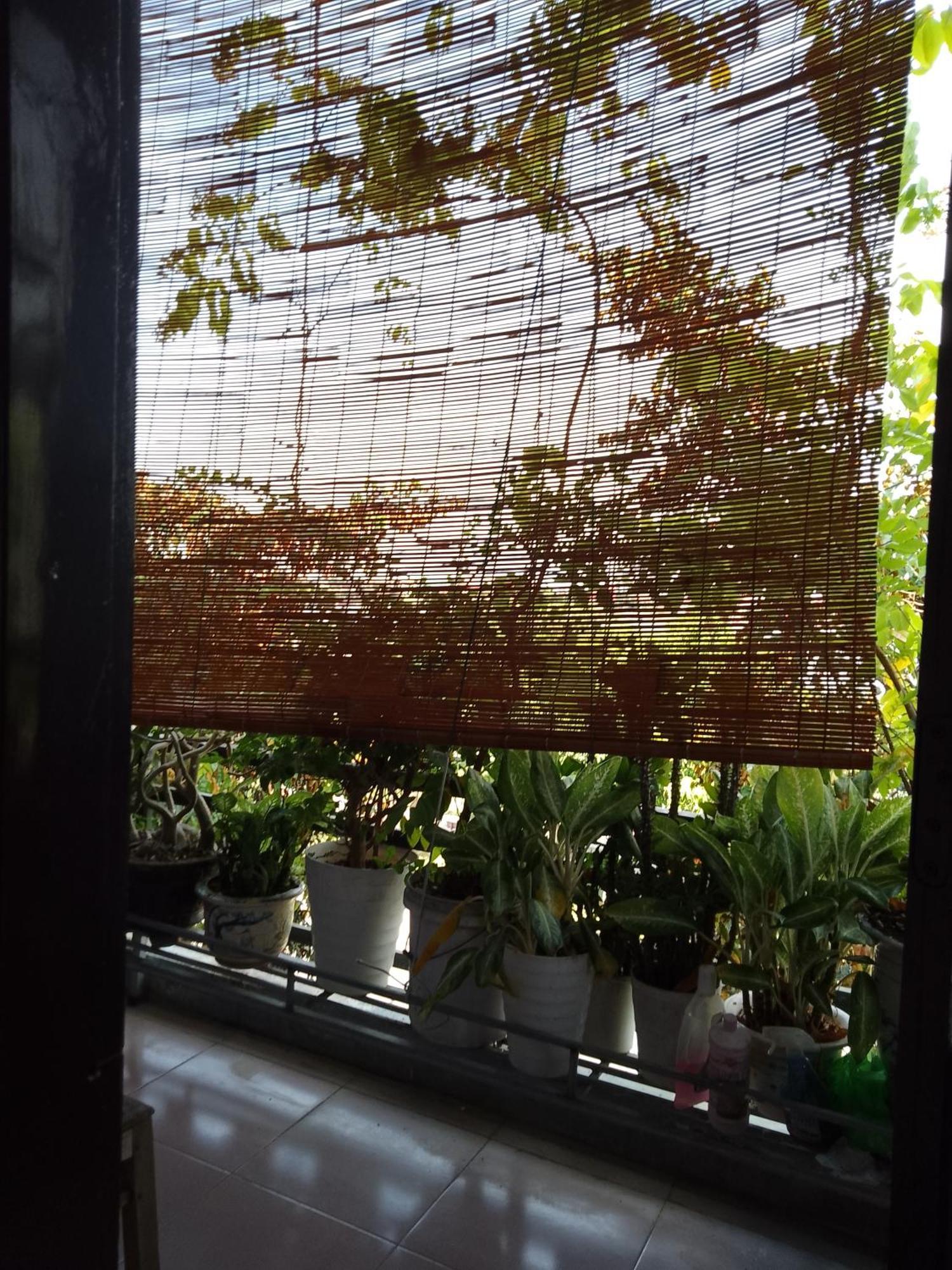 Nha Nghi Hang Nga 洞海 外观 照片